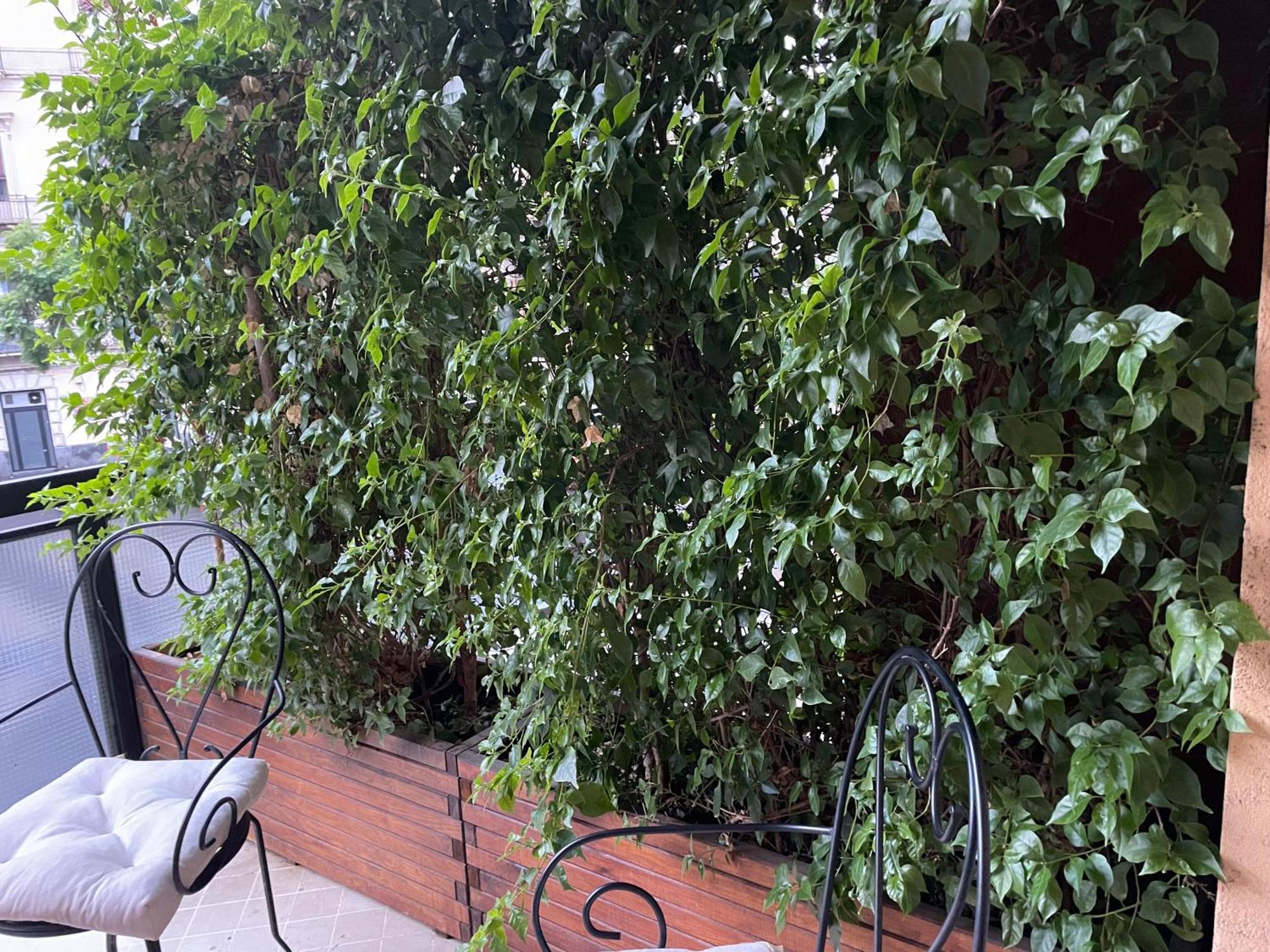 Cesare'S Home كاتانيا المظهر الخارجي الصورة